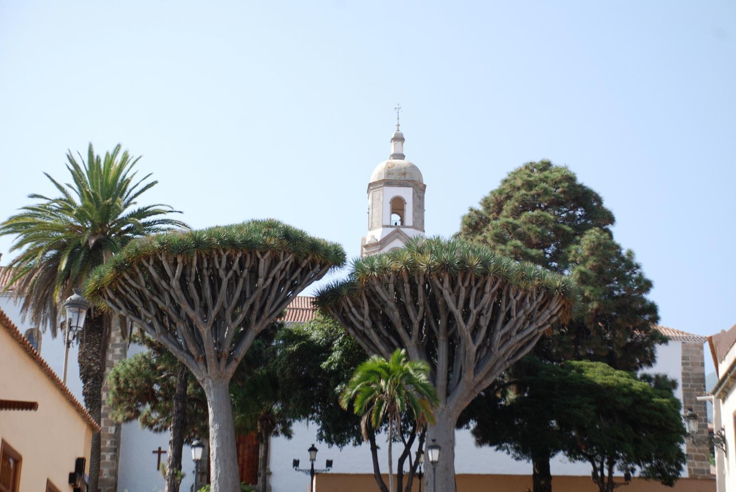 Hotel Rural Bentor Los Realejos Exterior photo